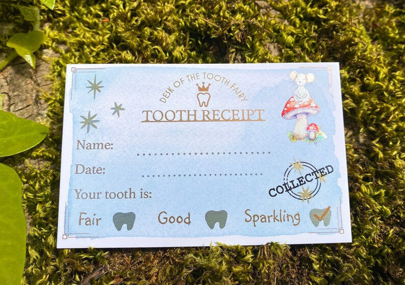 Boys Tooth Fairy Bag- PERSONALISED Loose Tooth Fairy Bag for children to leave teeth in OR for Tooth Fairy gifts to be left in