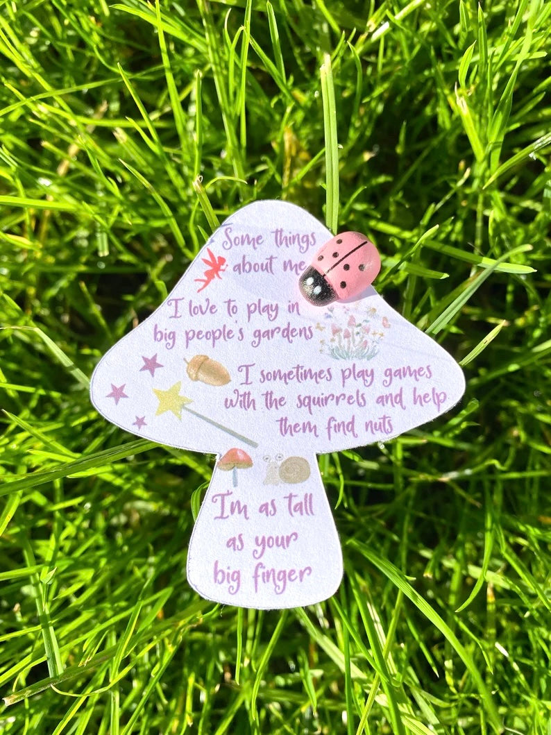 Tooth Fairy Kit-Tooth Fairy Letter- Tooth Fairy Bottle- Garden Fairies - Message in a bottle- Tooth Fairy Gifts- Tooth Fairy First Tooth