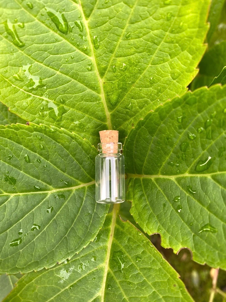 5 Tiny glass corked bottles- perfect for Fairy Dust, Pixie Dust, Mini Glass Craft Bottles- craft supplies glass bottles for crafting