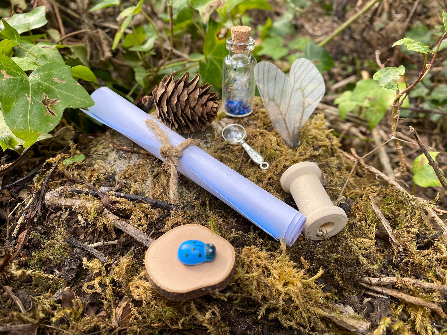 Boy’s Tooth Fairy Kit- Wish Fairy- Personalised Letter gift box- Fairy Kit includes: Wish bottle fairy wings, bobbin, mini magnifying glass, cone