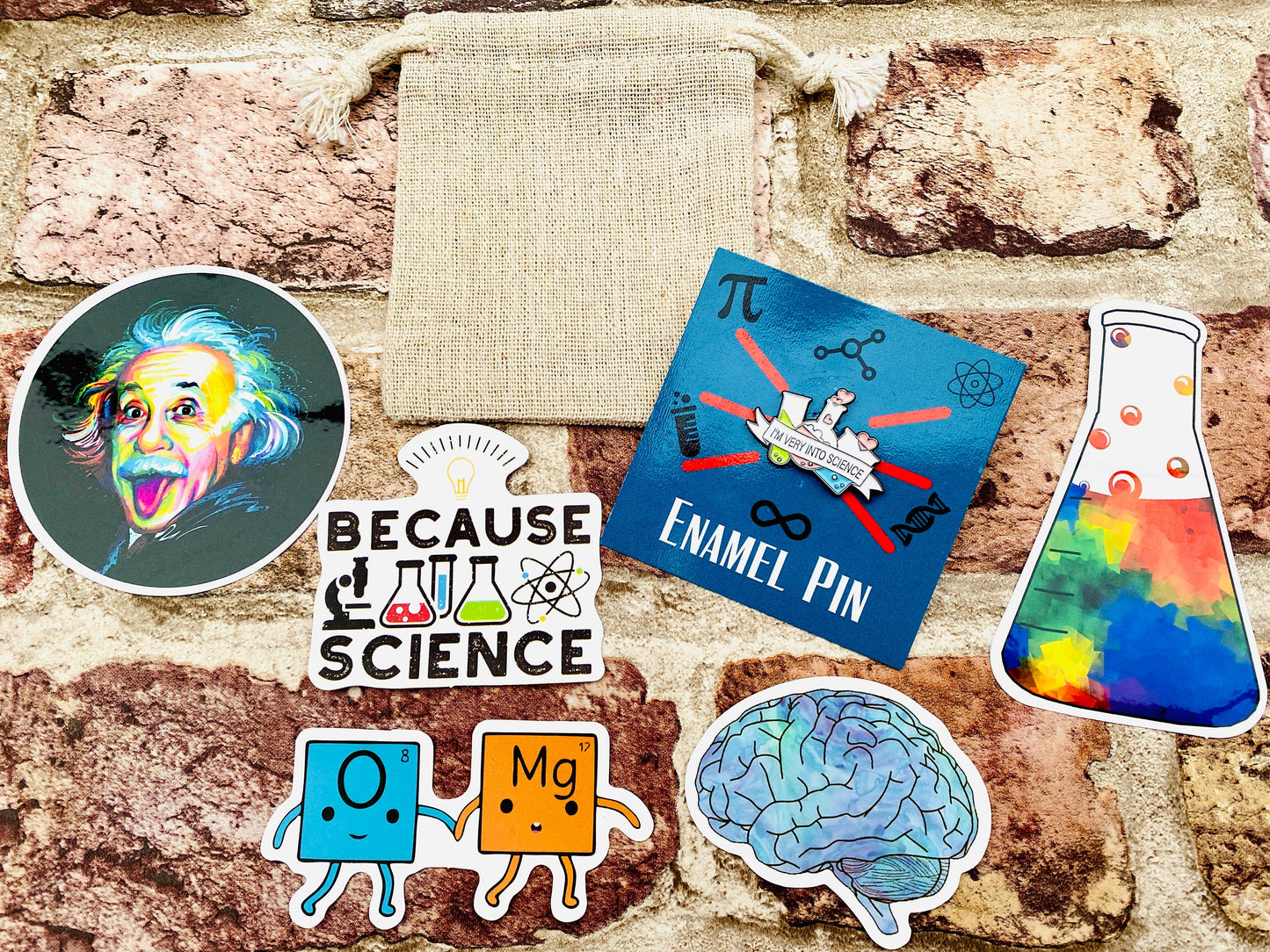 Chemistry Science Enamel Pin (Chemistry, Physics)/ University Badge & waterproof stickers for laptops! Scientist- chemist- physicist gift