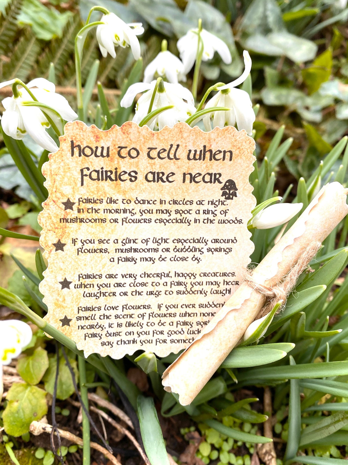 Tooth Fairy Set/ Tooth Fairy Kit- Woodland Fairy with Tooth Fairy Letter & Tooth Fairy Coin
