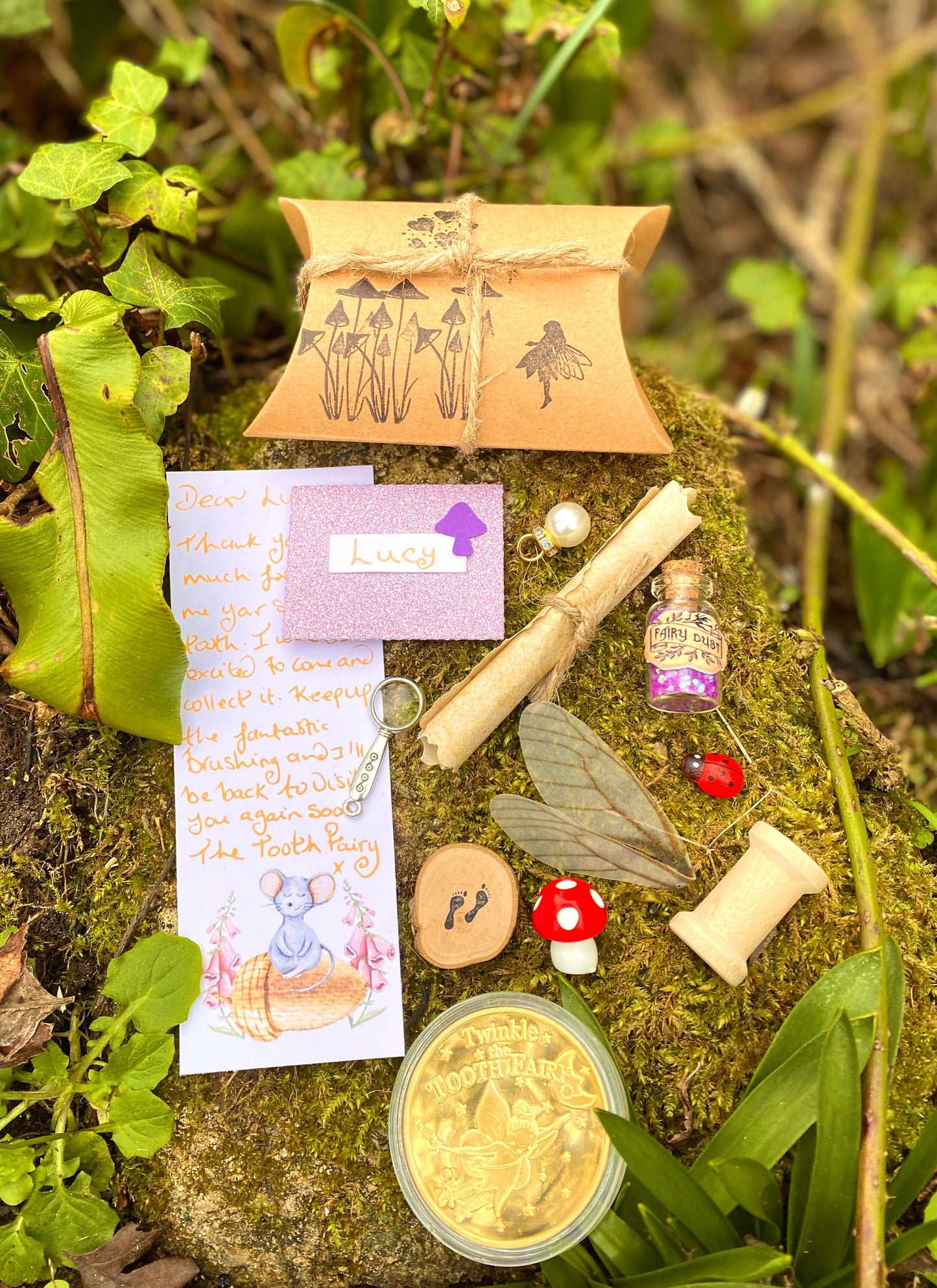 Tooth Fairy Set/ Tooth Fairy Kit- Woodland Fairy with Tooth Fairy Letter & Tooth Fairy Coin