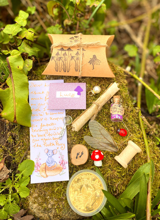 Tooth Fairy Set/ Tooth Fairy Kit- Woodland Fairy with Tooth Fairy Letter & Tooth Fairy Coin