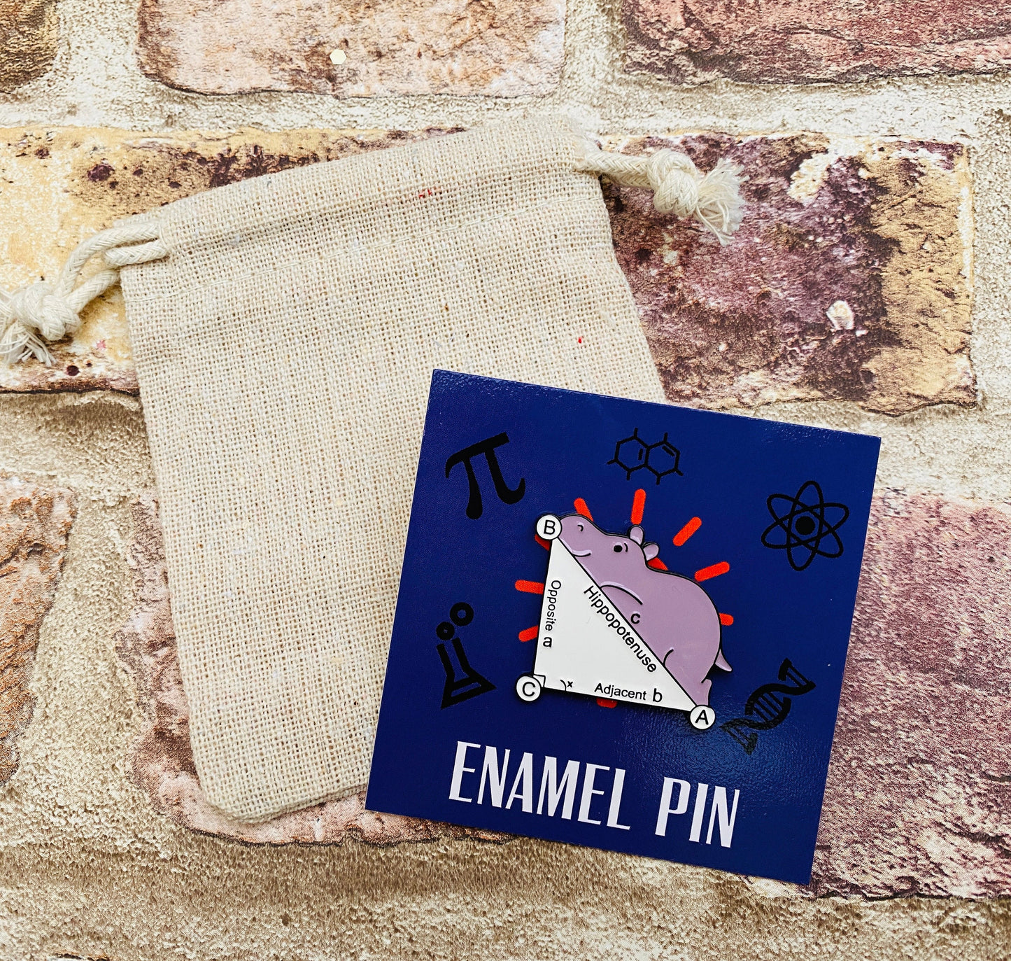 Cute Maths Enamel Pin for maths student, teacher badge gift, end of term present, starting university, back to school gift math student