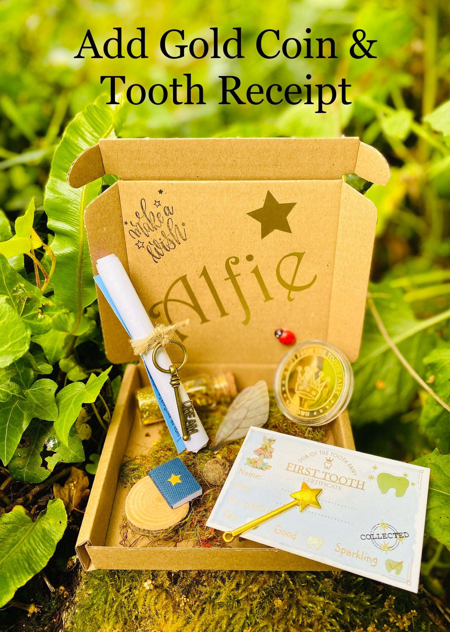 FIRST TOOTH Fairy Kit- Tooth Fairy Letter, Boys Tooth Fairy Gifts- custom letter, gold coin, wand, fairy dust & wings, book