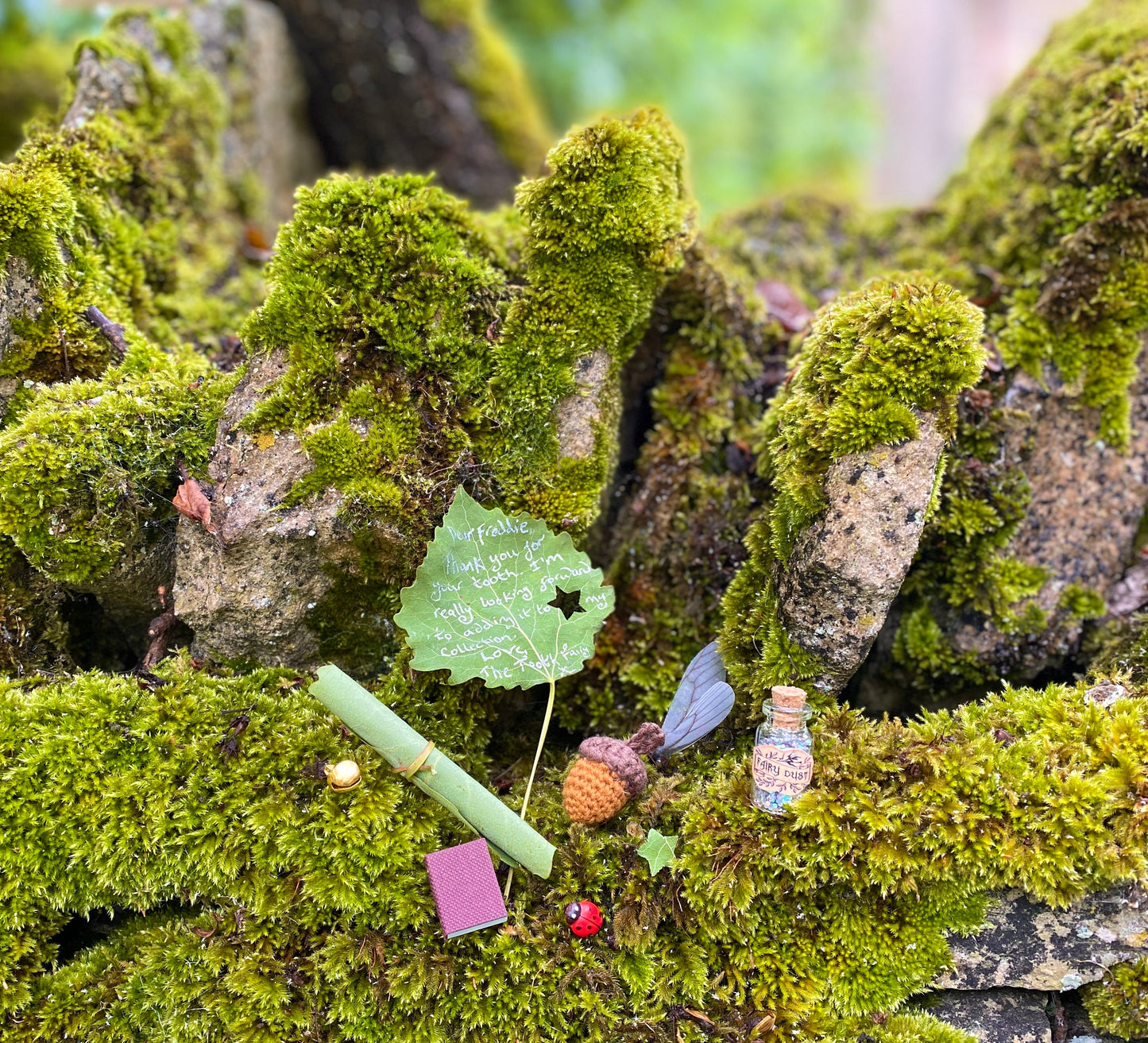 Tooth Fairy Letter Leaf- Natural Tooth Fairy Kit- Eco Tooth Fairy Gifts- Woodland Tooth Fairy