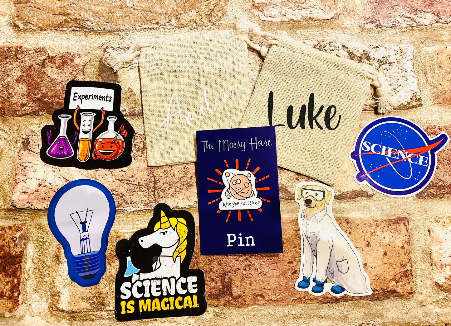 Funny Chemistry Science Enamel Pin / Physics Enamel Pin- University Badge & Science waterproof stickers Scientist- chemist physicist gift