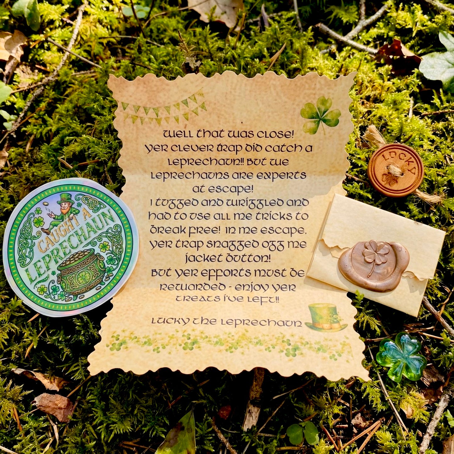 LEPRECHAUN GOLD Coin- St Patrick’s Day gift - leave for children by their Leprechaun Trap. Personalised St Patrick’s Day gift- proof of Leprechauns!