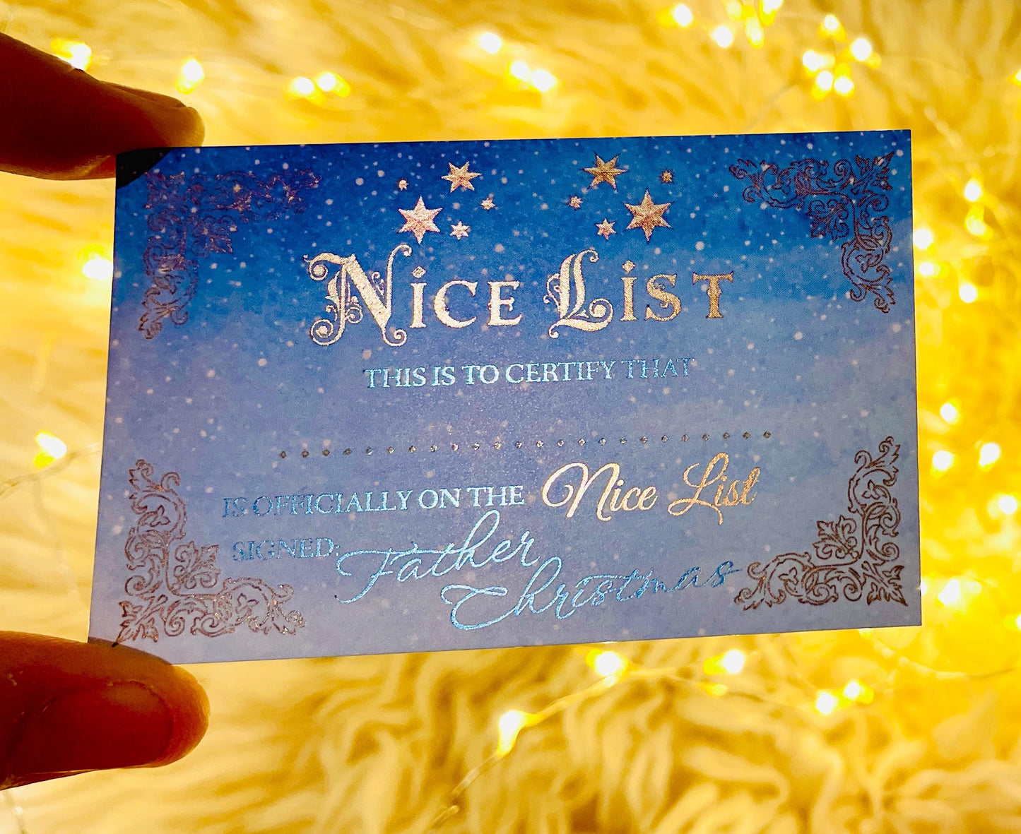 FATHER CHRISTMAS Nice List Coin - North Pole Treasury™  Leave as a Stocking Filler or Christmas Eve Box idea (with Elf Dust) Honorary Elf