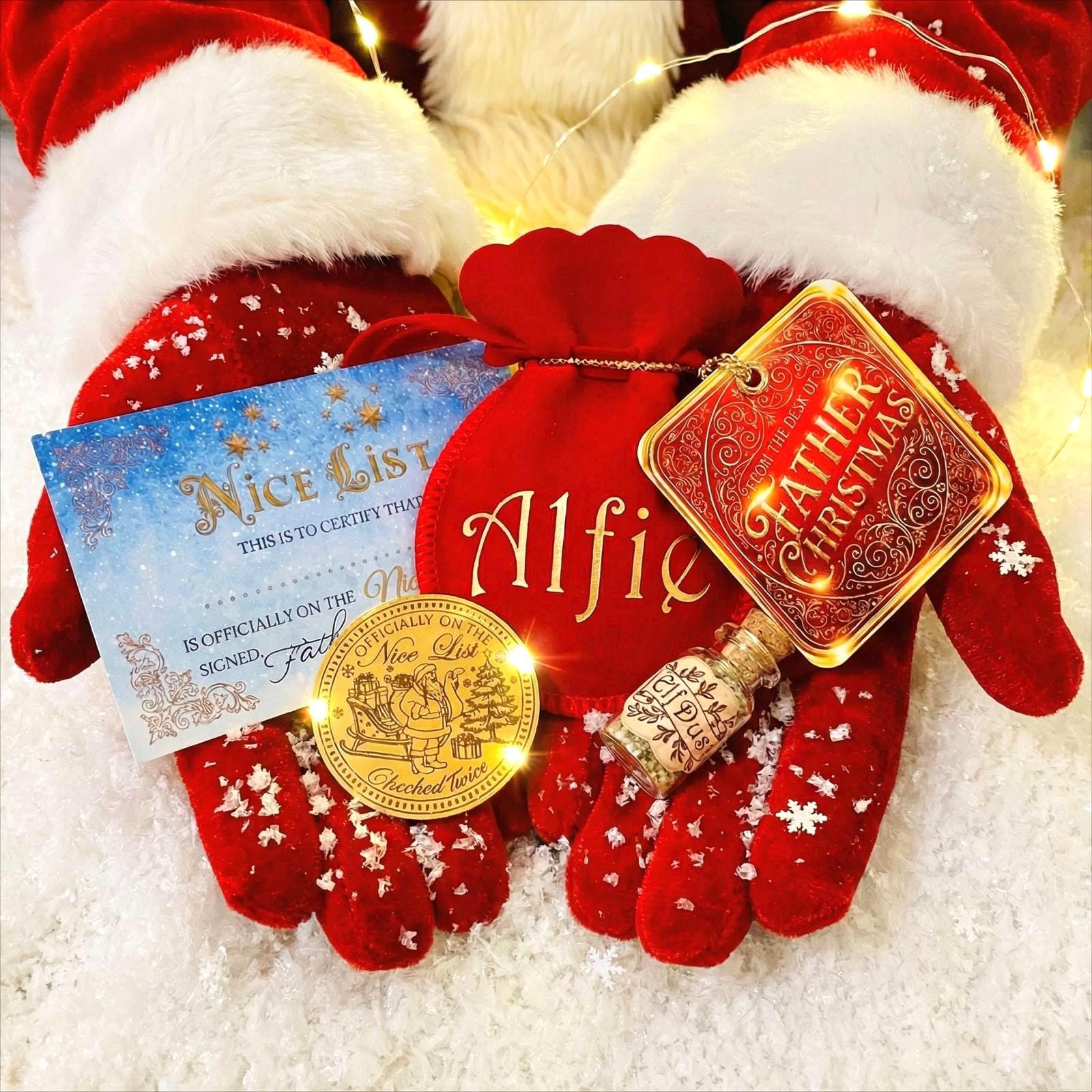 FATHER CHRISTMAS Nice List Coin - North Pole Treasury™  Leave as a Stocking Filler or Christmas Eve Box idea (with Elf Dust) Honorary Elf