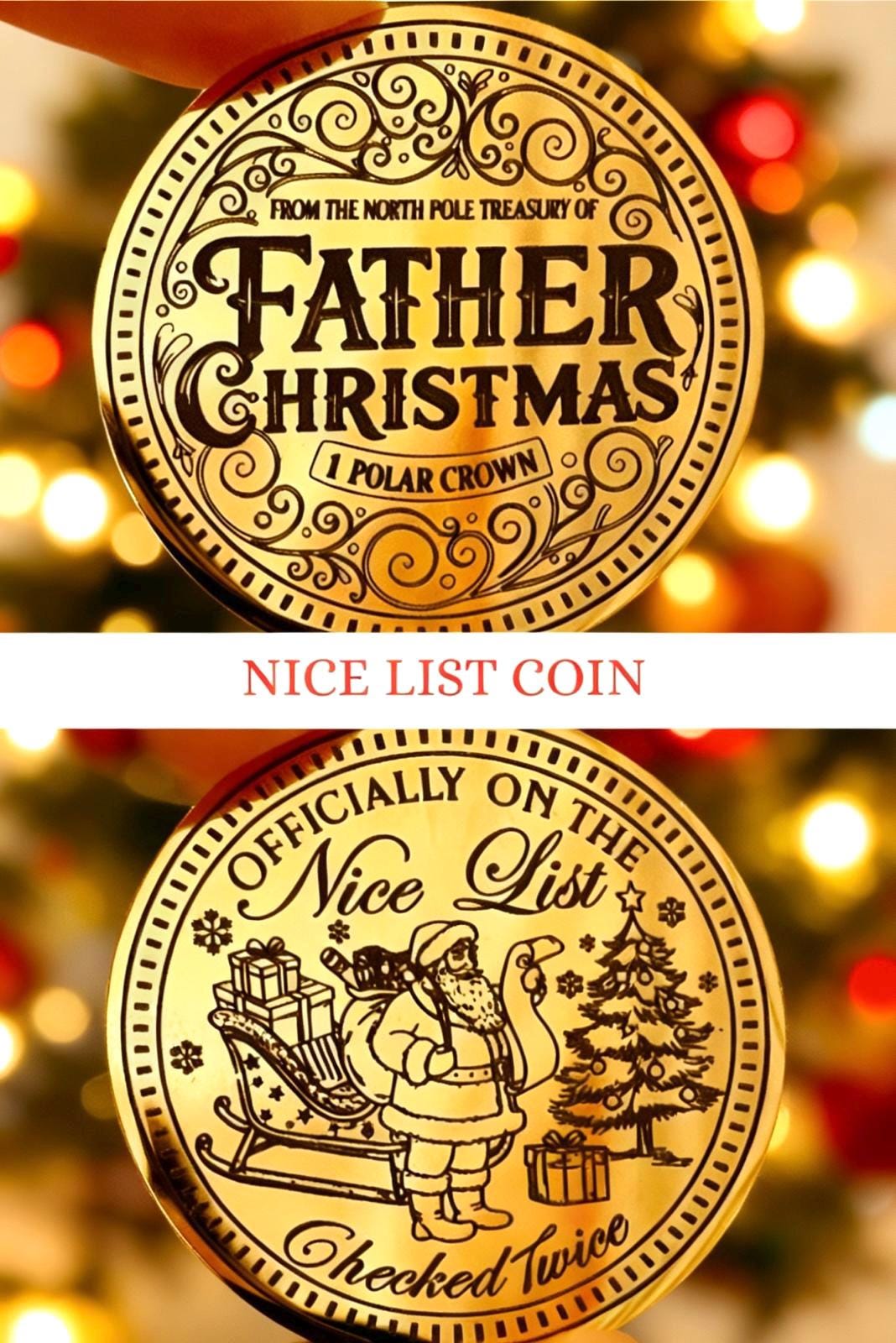 FATHER CHRISTMAS Nice List Coin - North Pole Treasury™  Leave as a Stocking Filler or Christmas Eve Box idea (with Elf Dust) Honorary Elf