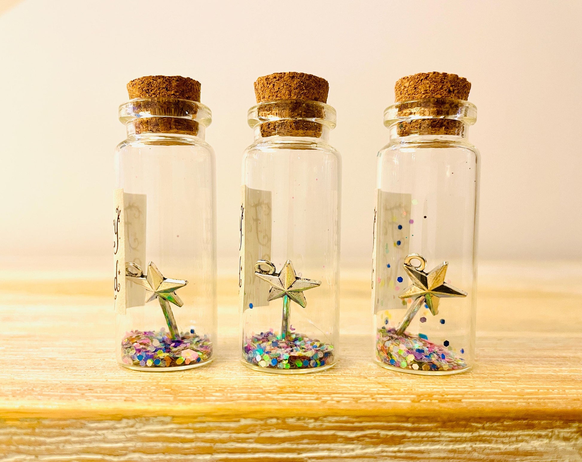 Fairy Visit Kit | Tooth Fairy Gold Coin | Fairy Dust, Fairy Wings & Fairy Wand | Fairy Door Accessories | Dummy Fairy Gift First Tooth Fairy