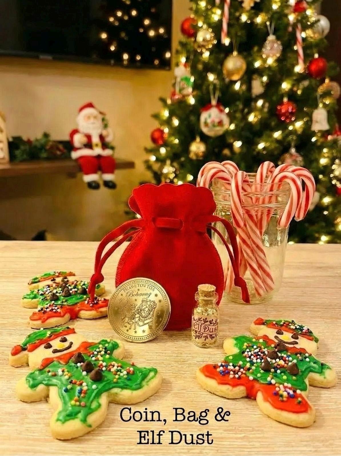 GOODBYE ELF Leaving Gift! Leave this Christmas Coin from your Christmas Elf when it’s time to go! Santa Gold Coin Honorary Elf™ Collection
