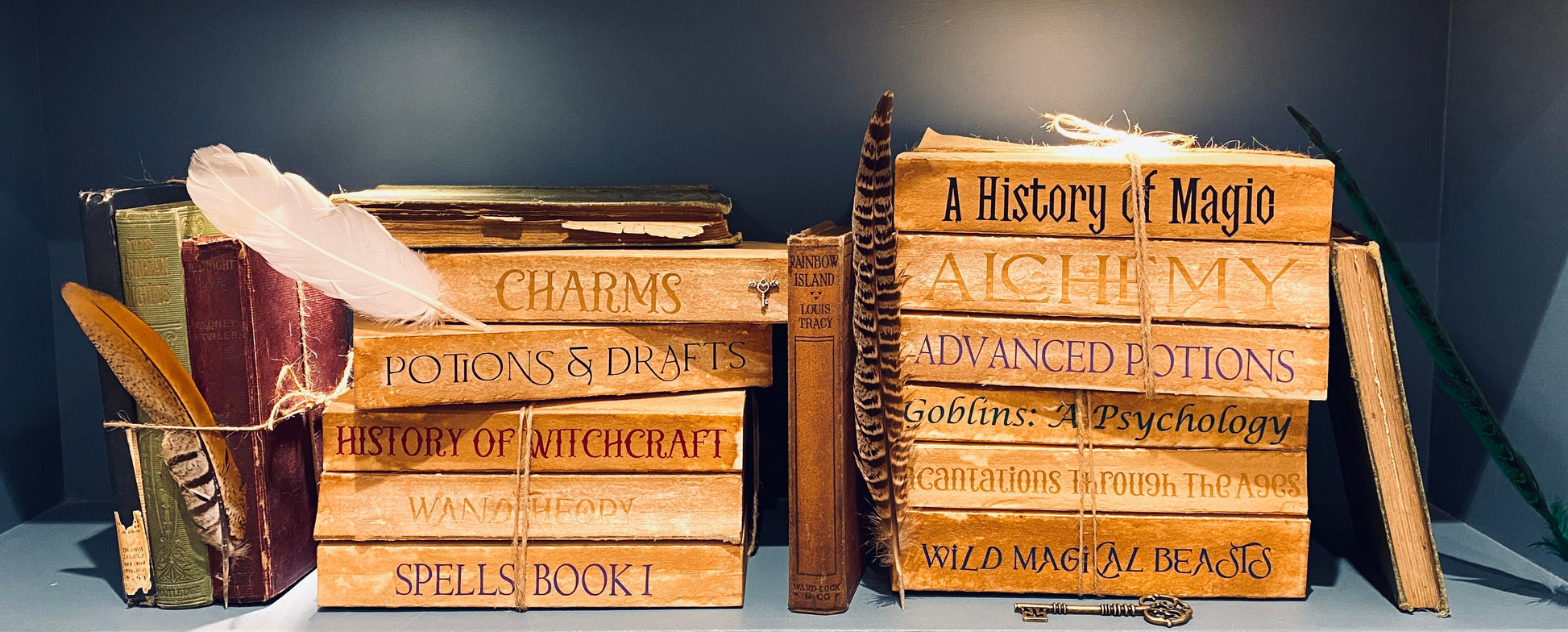 Old Spell Books & Wizard School Textbooks | Wizard bedroom decor | Fantasy Wedding Props __etsy:6001096673