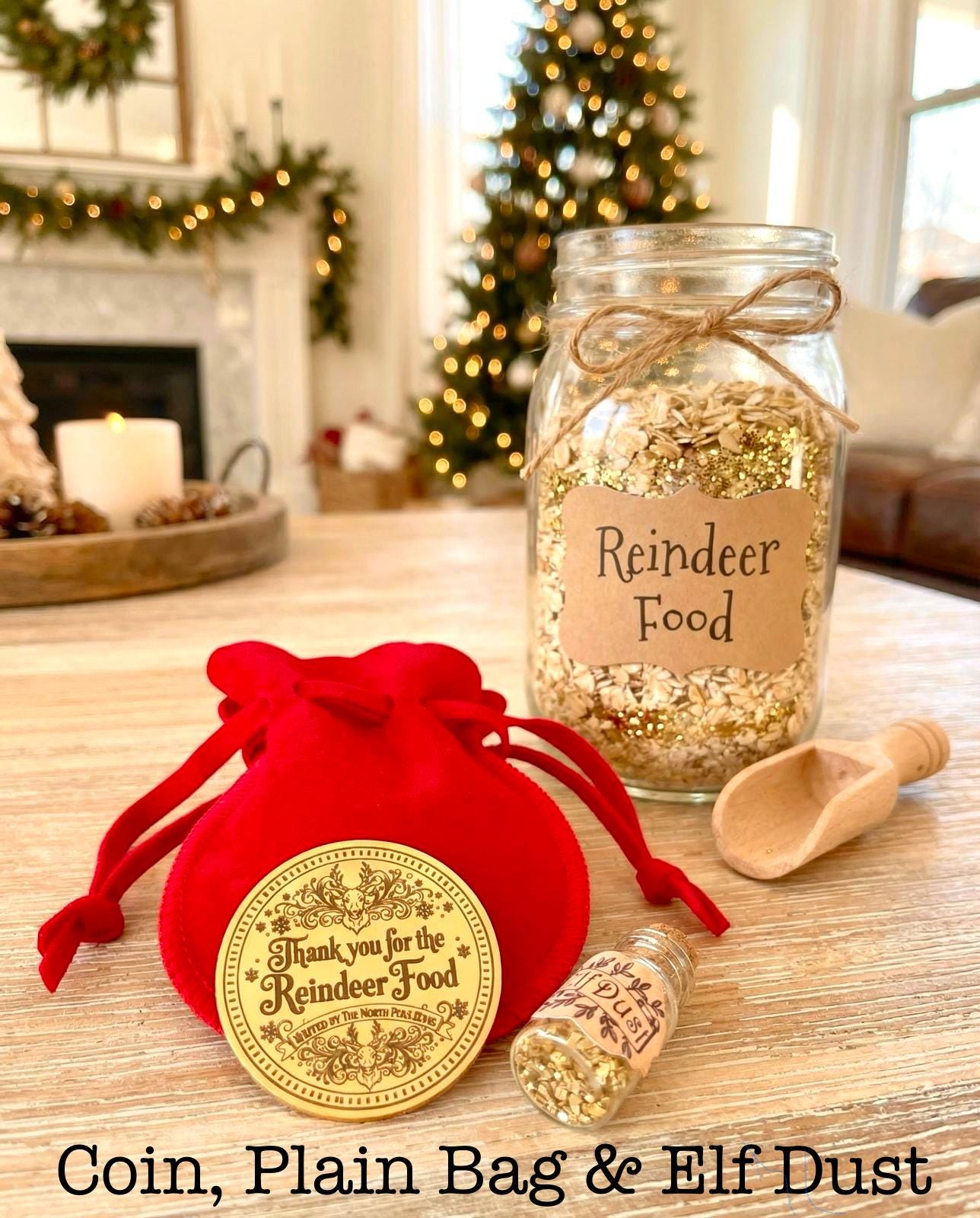 SANTA Gold Coin- Thank You For The REINDEER FOOD! Honorary Elf™ Collection. Leave where you scatter Reindeer Food for Christmas morning!