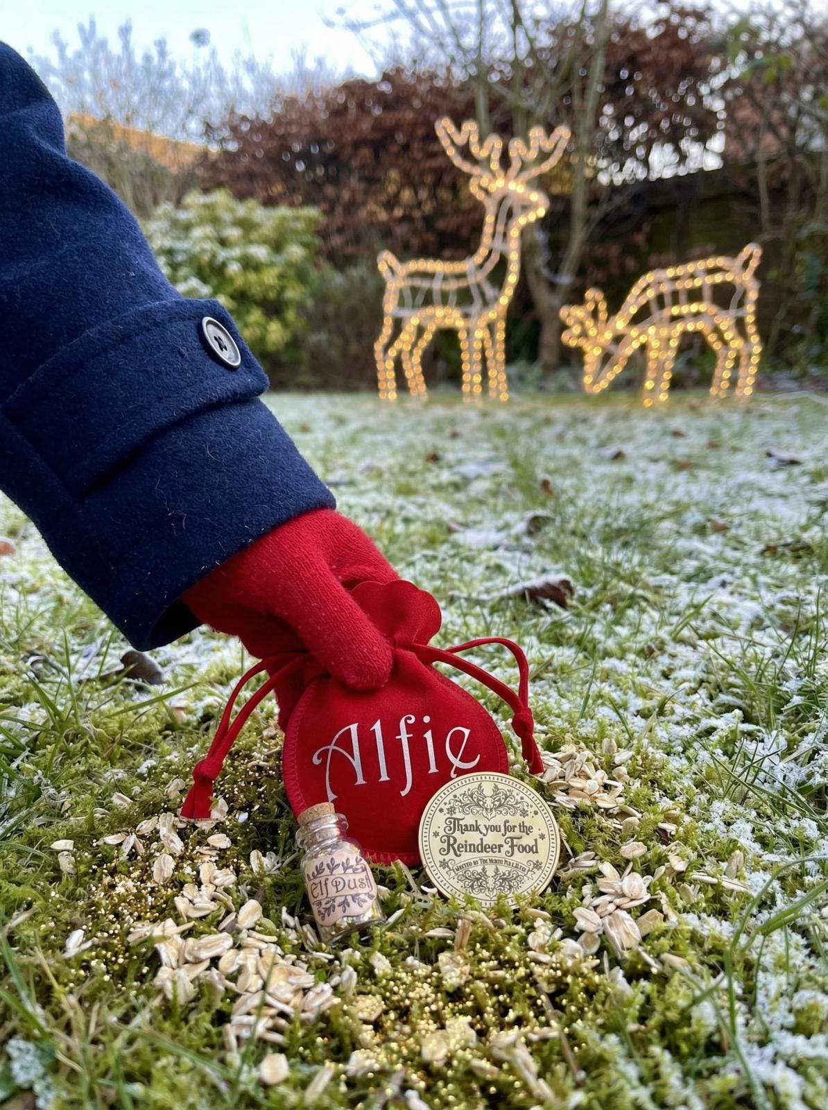SANTA Gold Coin- Thank You For The REINDEER FOOD! Honorary Elf™ Collection. Leave where you scatter Reindeer Food for Christmas morning!