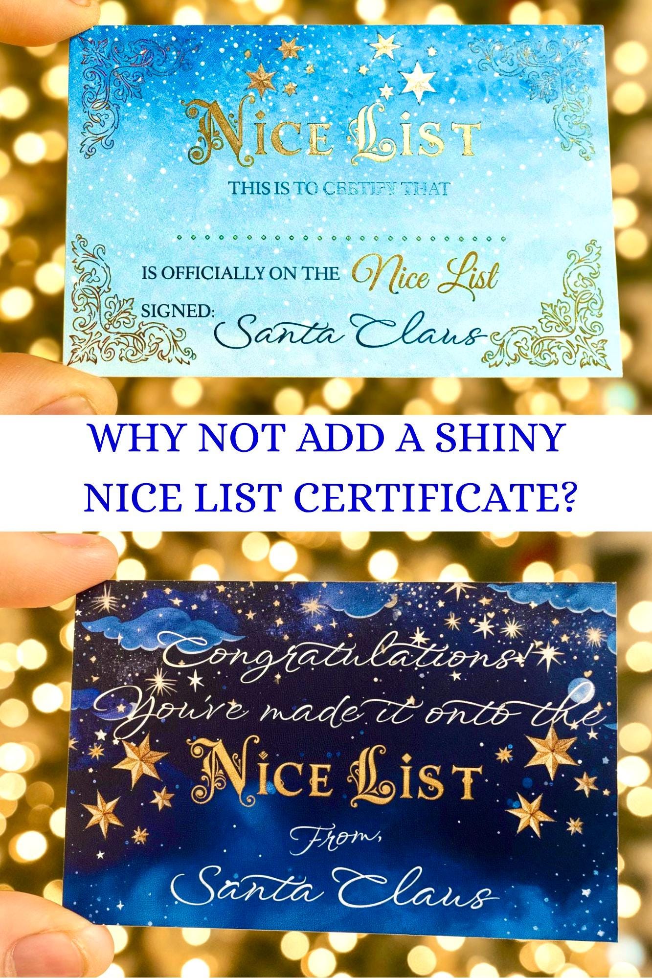 Santa Nice List Coin: HONORARY ELF™ Collection! Christmas Santa Coin for leaving as a Stocking Filler or Christmas Eve Box idea