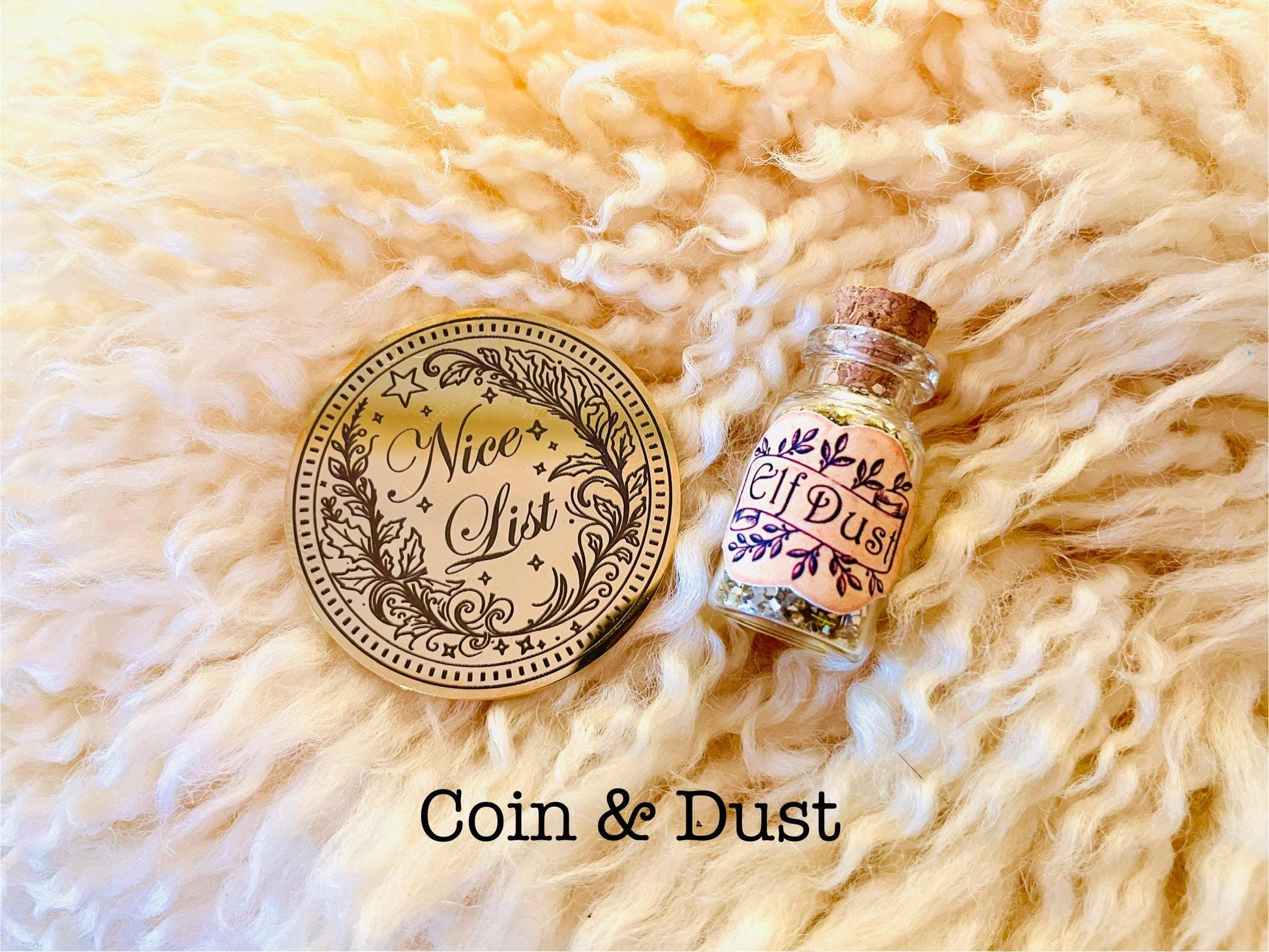 Santa Nice List Coin: HONORARY ELF™ Collection! Christmas Santa Coin for leaving as a Stocking Filler or Christmas Eve Box idea