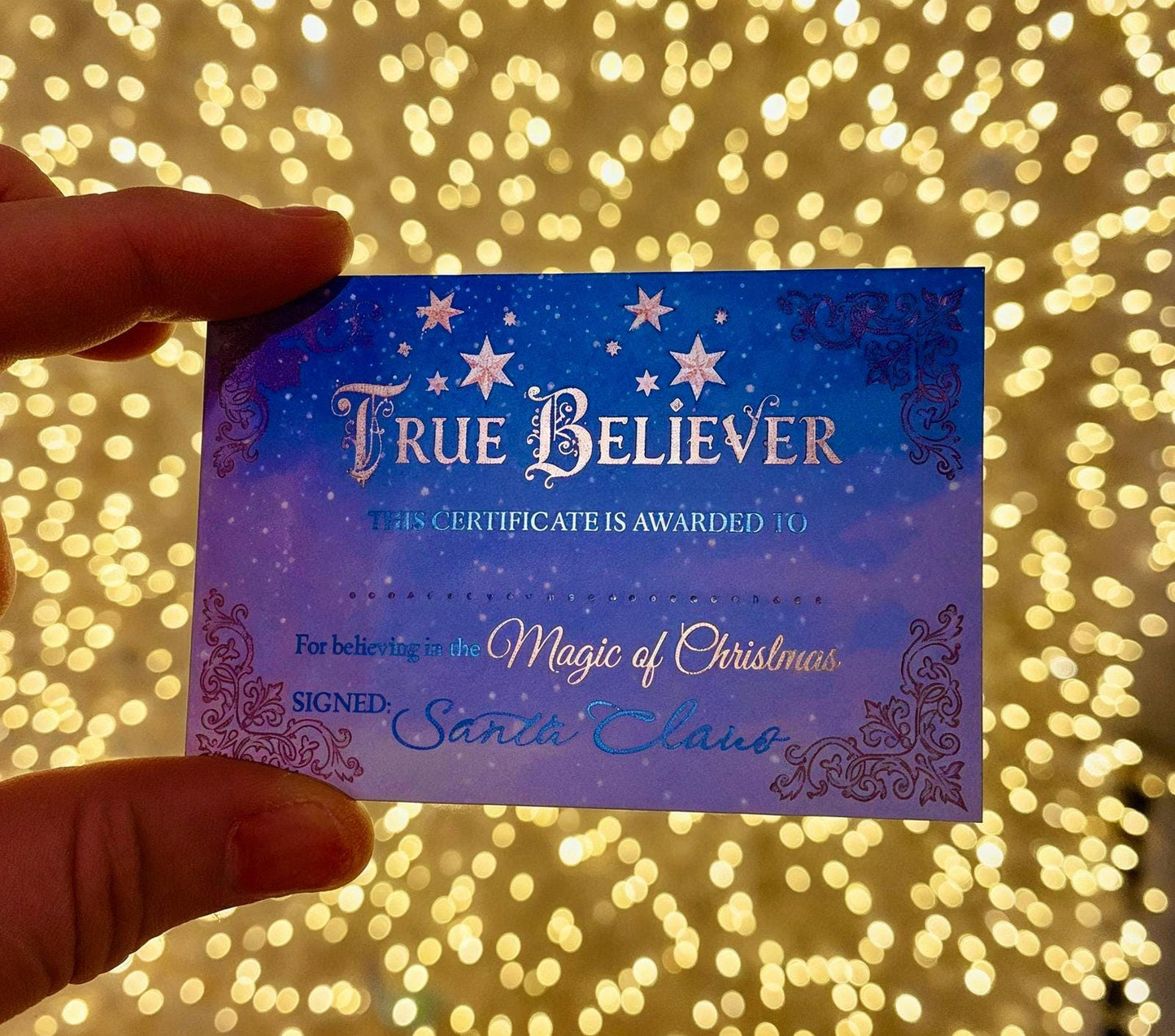 TRUE BELIEVER Christmas Coin from Honorary Elf™ Collection! Christmas Santa Coin for leaving as a Stocking Filler or Christmas Eve Box idea
