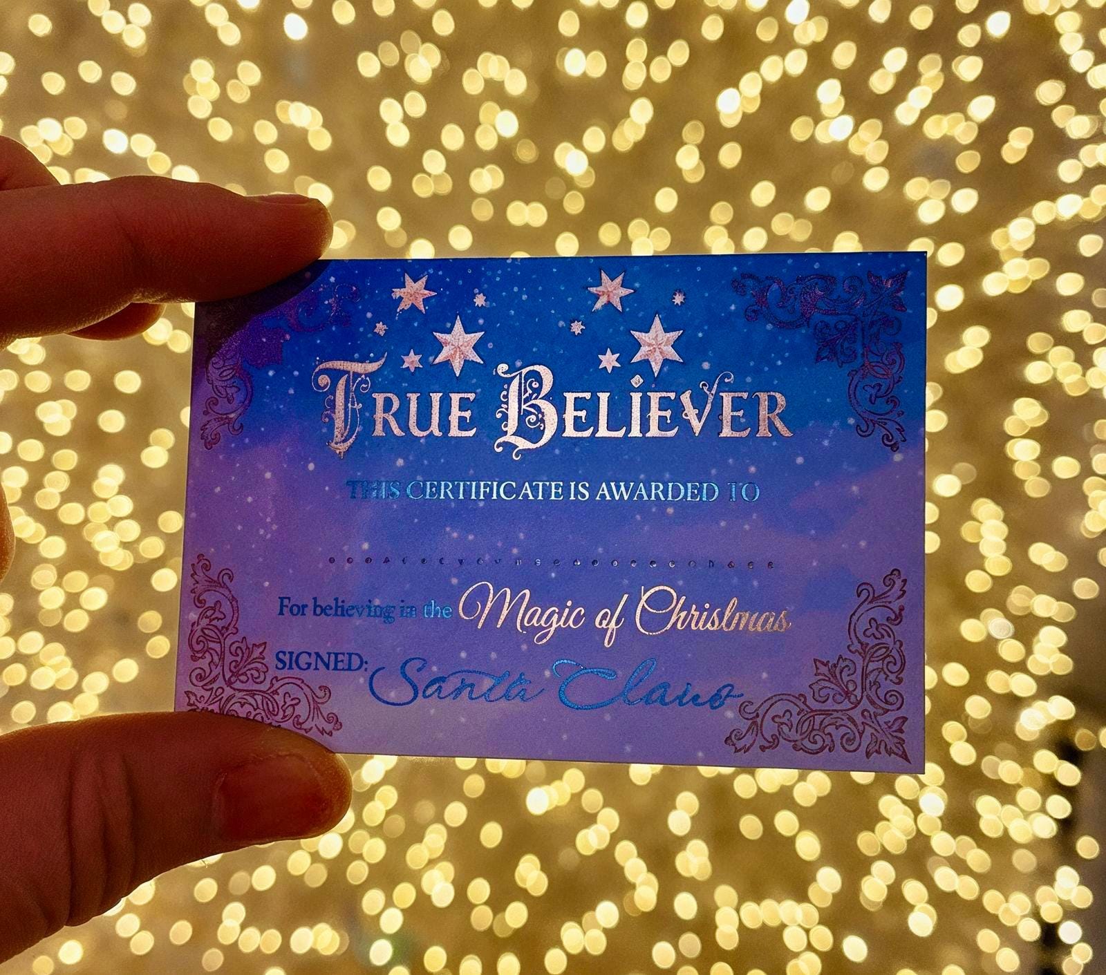 TRUE BELIEVER Christmas Coin from Honorary Elf™ Collection! Christmas Santa Coin for leaving as a Stocking Filler or Christmas Eve Box idea