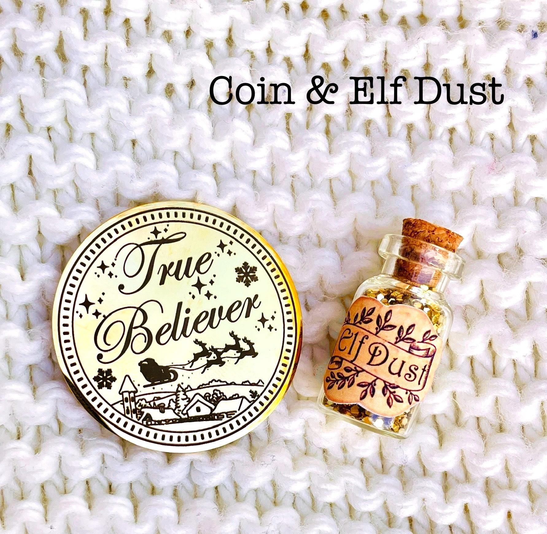 TRUE BELIEVER Christmas Coin from Honorary Elf™ Collection! Christmas Santa Coin for leaving as a Stocking Filler or Christmas Eve Box idea