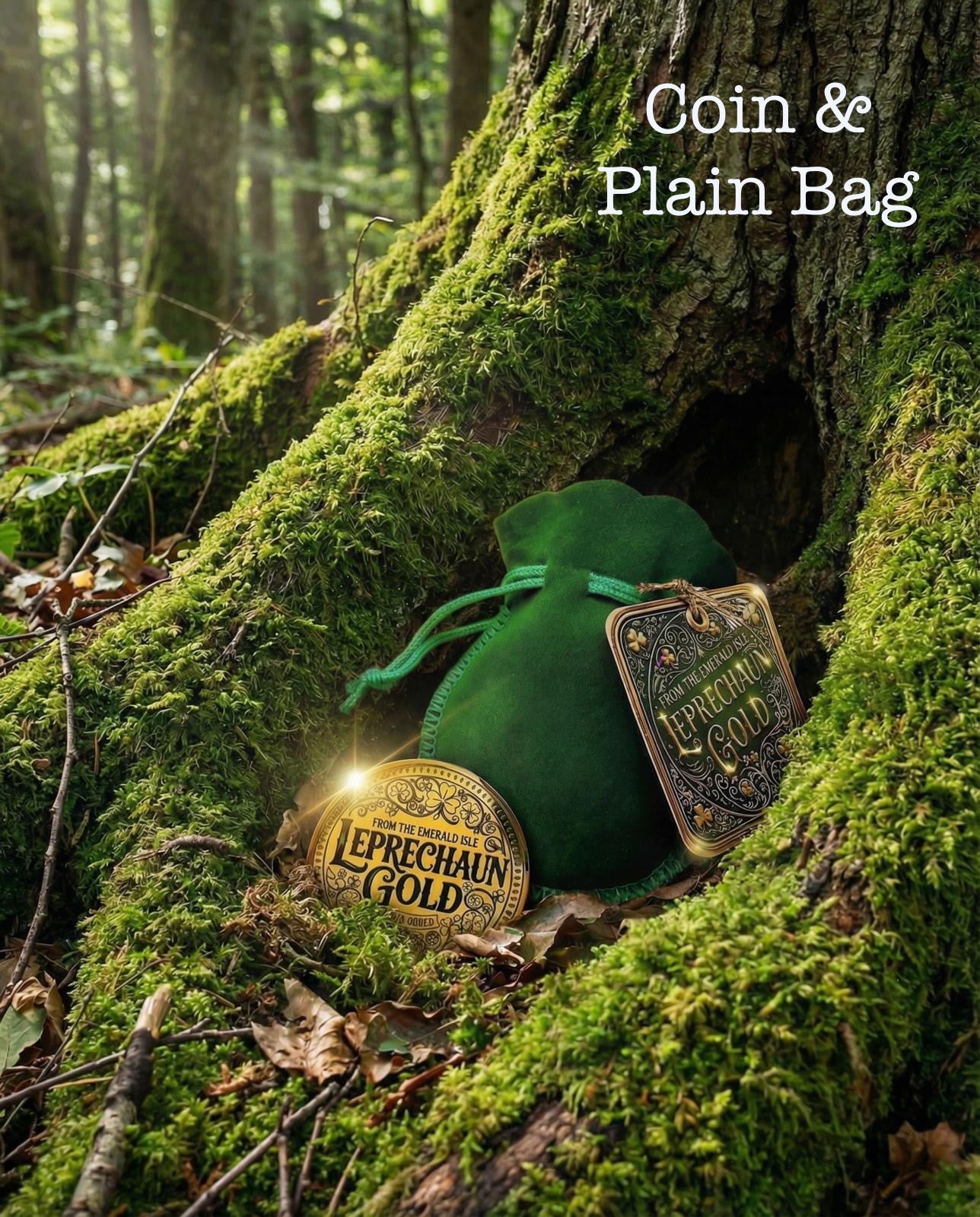 LEPRECHAUN GOLD Coin- St Patrick’s Day gift - leave for children by their Leprechaun Trap. Personalised St Patrick’s Day gift- proof of Leprechauns!