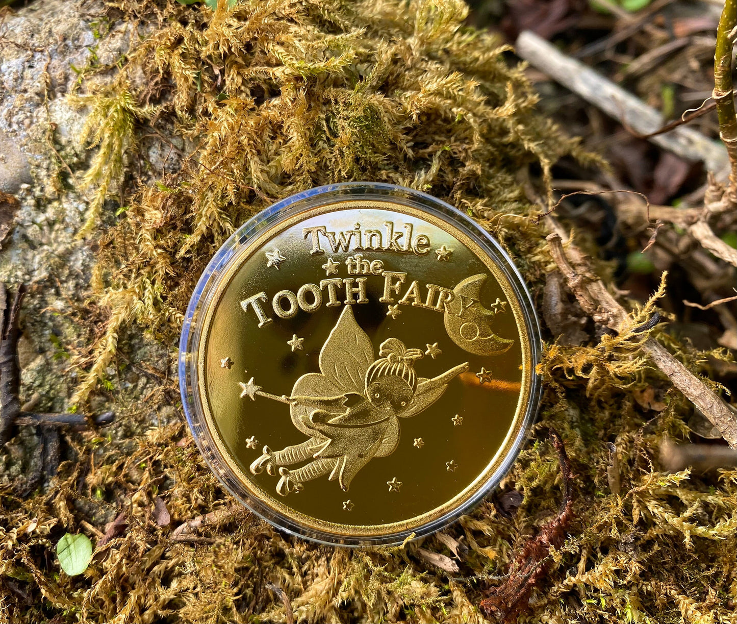 FIRST TOOTH Certificate from the Tooth Fairy & Large Golden Coin! First Lost Tooth- First Fairy Visit