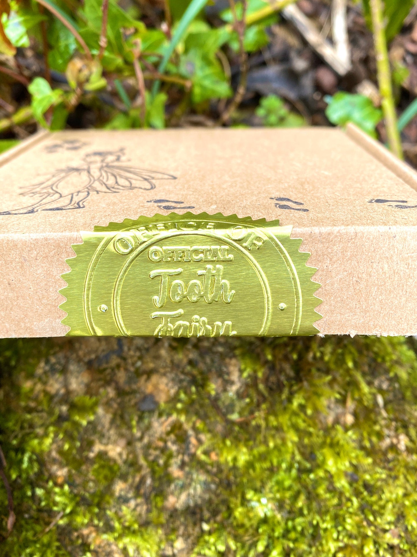 Tooth Fairy Letter gift box! Woodland Fairy Custom Tooth Fairy Kit includes: Personalised Fairy Letter, Fairy Dust, Fairy Wings, bottle