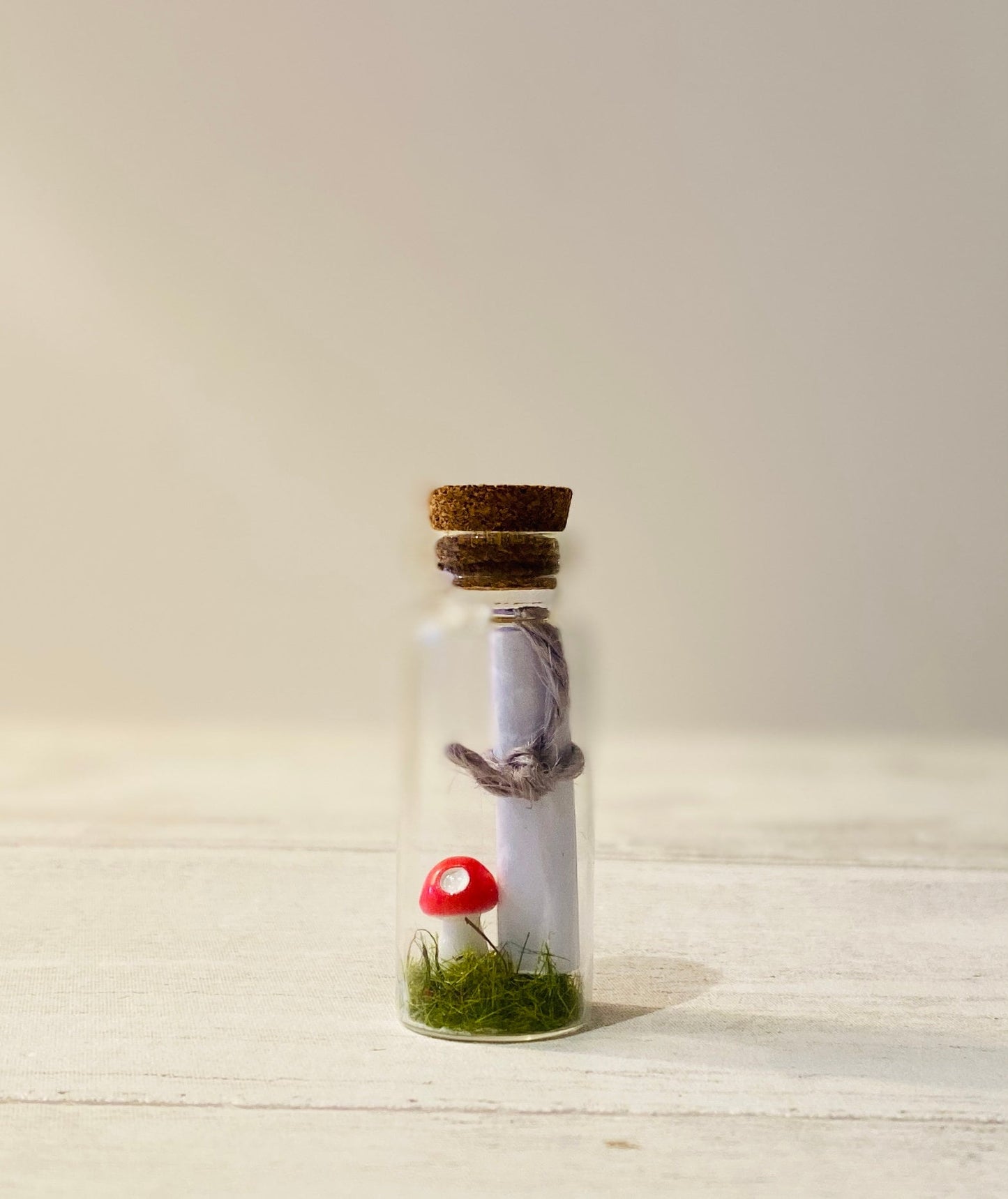 Message in a Bottle: Valentine's Toadstool Gift with Handwritten Scroll