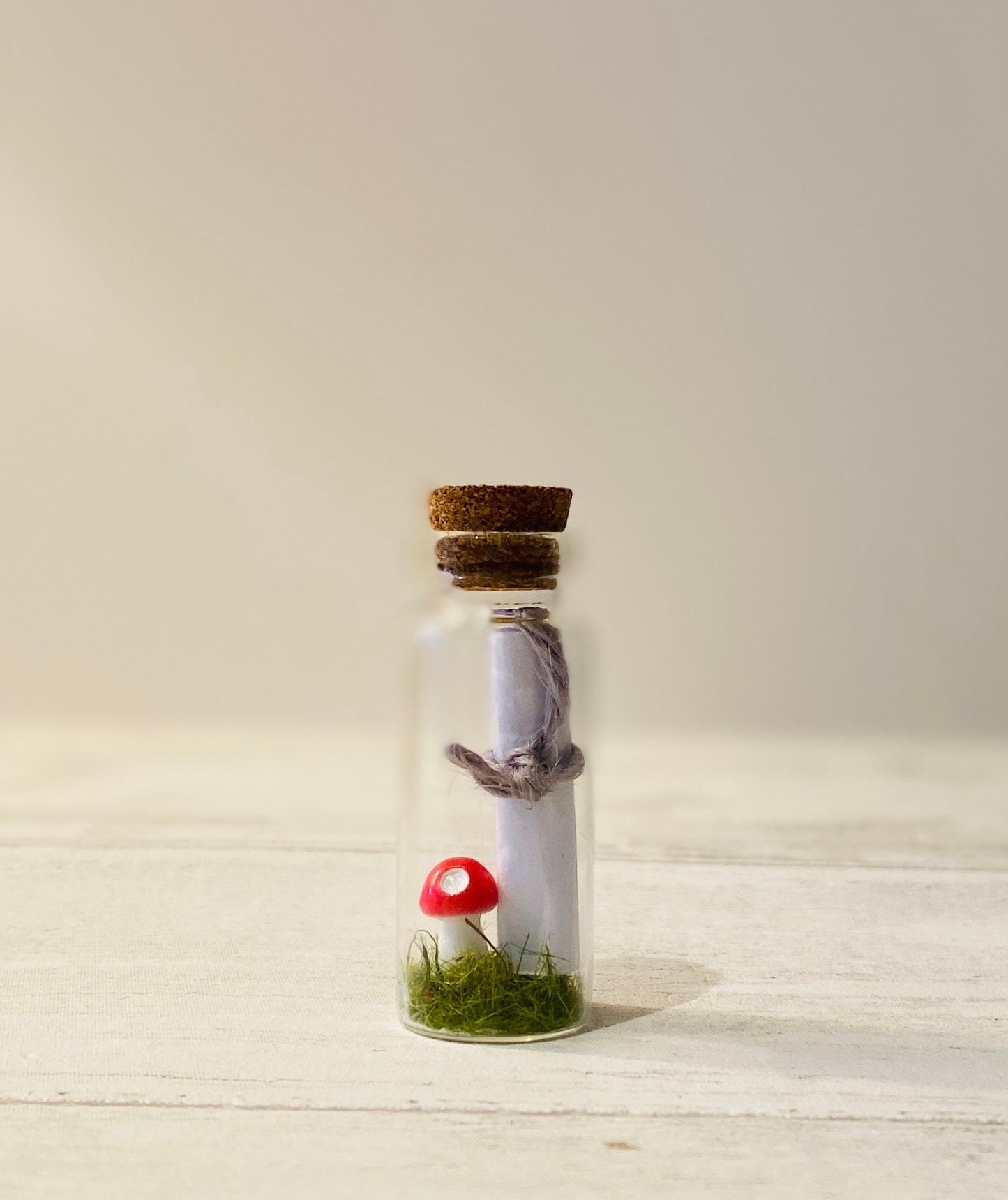 Tooth Fairy Letter- Tiny Tooth Fairy Kit with message in a bottle- Toadstool in a bottle Tooth Fairy Set