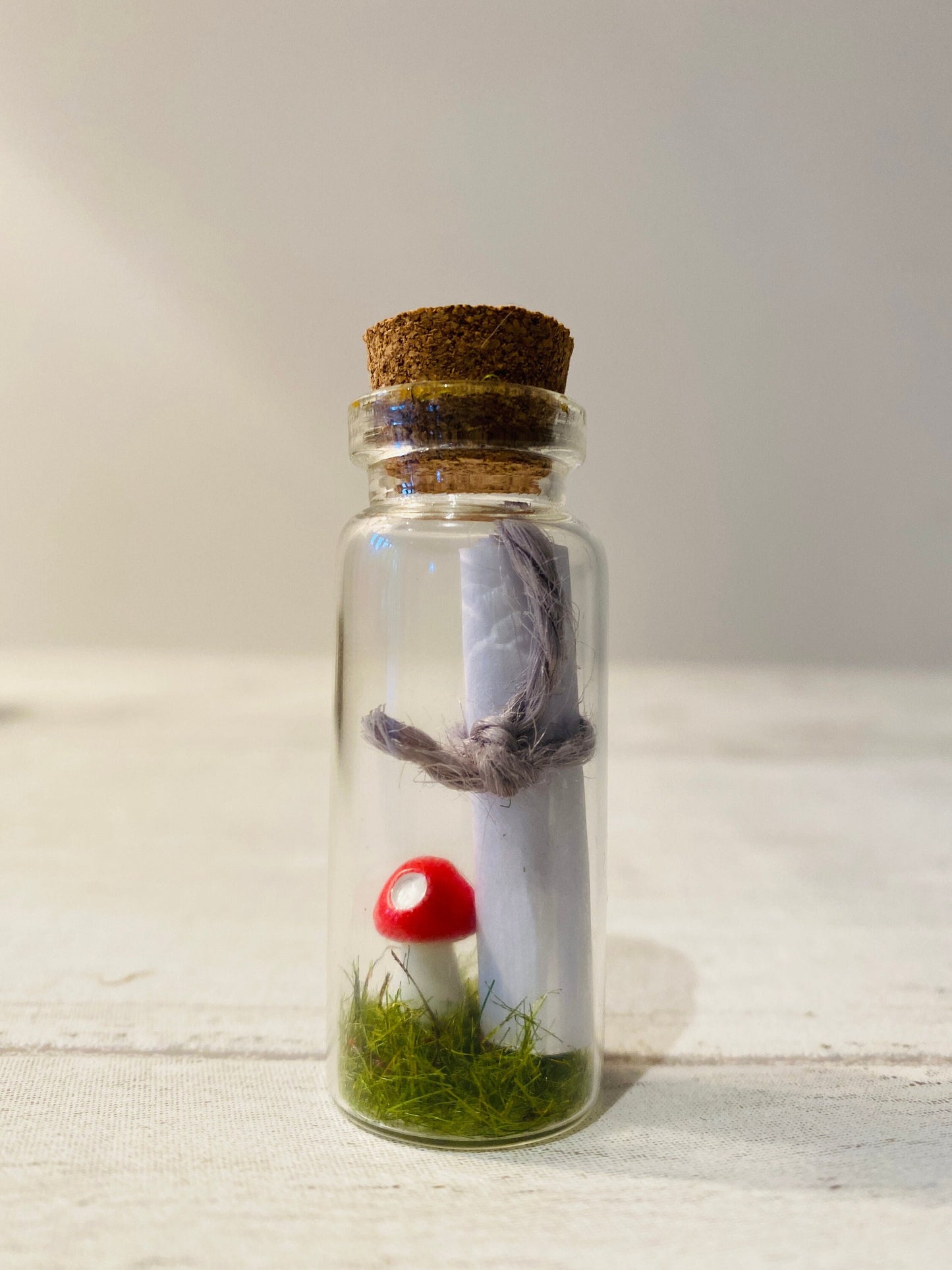Message in a Bottle: Valentine's Toadstool Gift with Handwritten Scroll