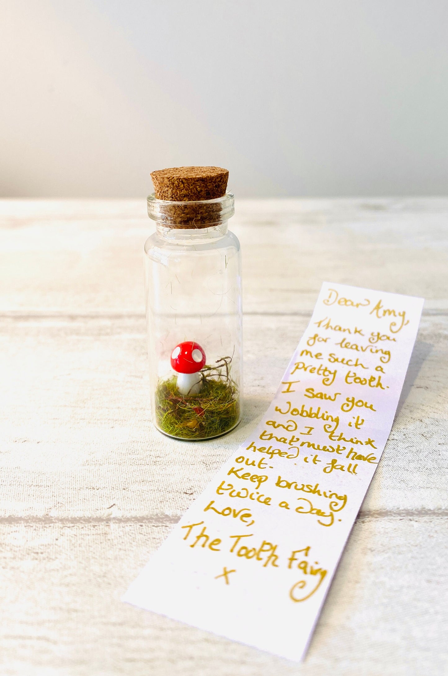 Tooth Fairy Letter- Tiny Tooth Fairy Kit with message in a bottle- Toadstool in a bottle Tooth Fairy Set