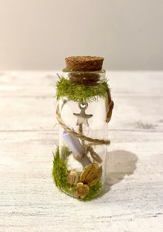 MESSAGE IN A BOTTLE- Star in bottle- send a message in a bottle- Secret Message-