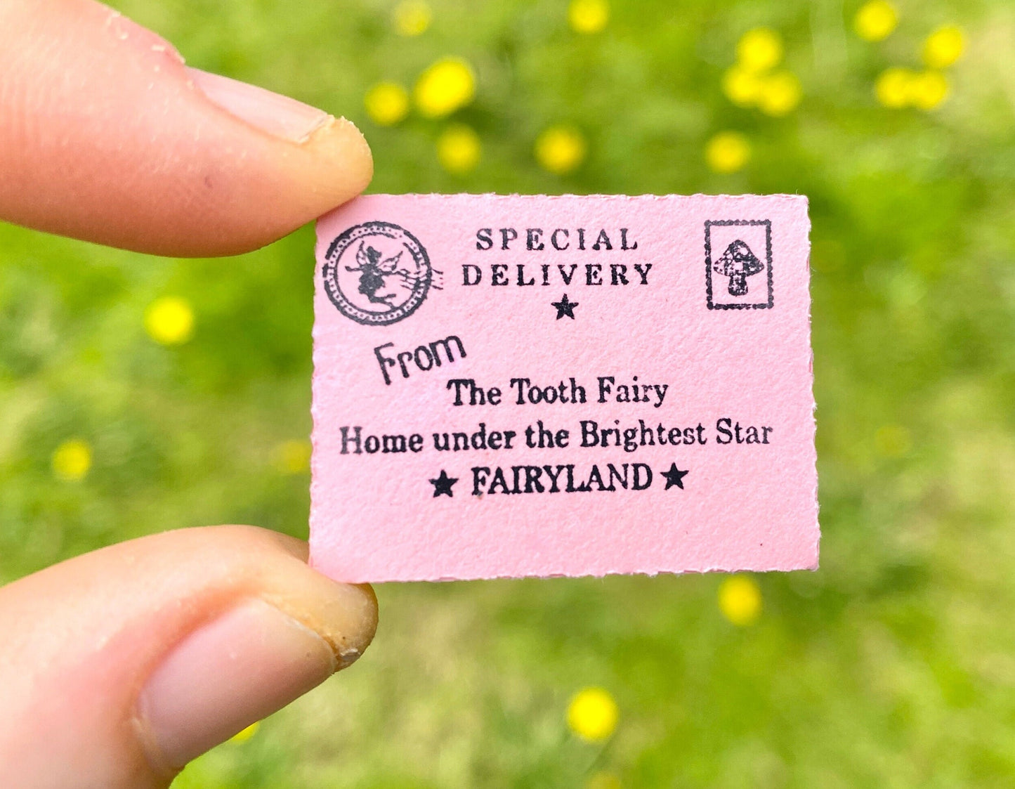 Little Tooth Fairy Letter, Fairy Dust & Gold Coin! Tooth Fairy Kit, Tooth Fairy Gifts, Tooth Fairy Tiny Letter, Little Letter! First Tooth