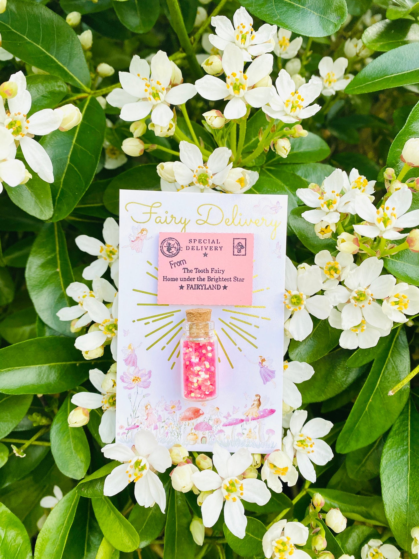 Little Tooth Fairy Letter, Fairy Dust & Gold Coin! Tooth Fairy Kit, Tooth Fairy Gifts, Tooth Fairy Tiny Letter, Little Letter! First Tooth