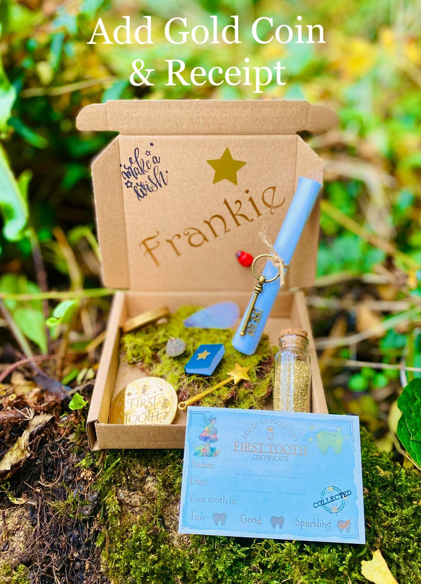 Boy’s FIRST TOOTH Fairy Kit-  Tooth Fairy Letter, Boys Tooth Fairy Gifts- custom letter, gold coin, wand, fairy dust & wings, book