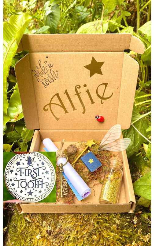 Boy’s FIRST TOOTH Fairy Kit-  Tooth Fairy Letter, Boys Tooth Fairy Gifts- custom letter, gold coin, wand, fairy dust & wings, book