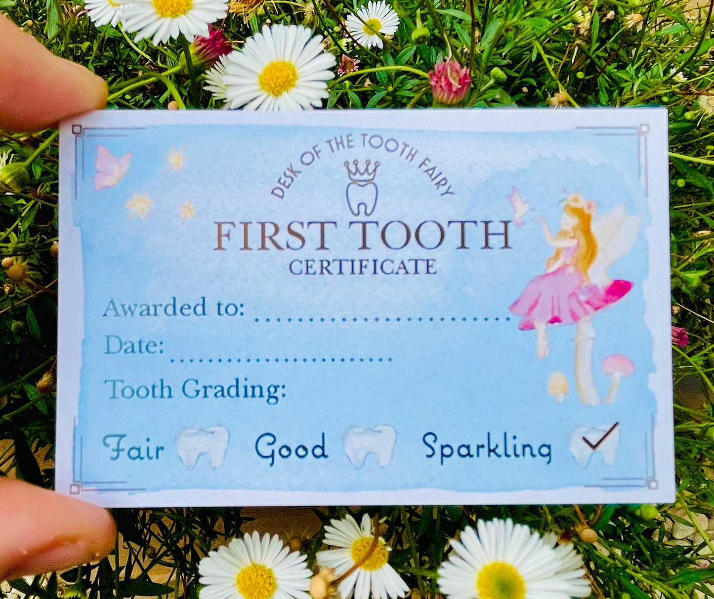 FIRST TOOTH Fairy Certificate & First Tooth Gold Coin! Lost First  Tooth Fairy Receipt! Lovely Keepsake for a child’s First Lost Tooth!