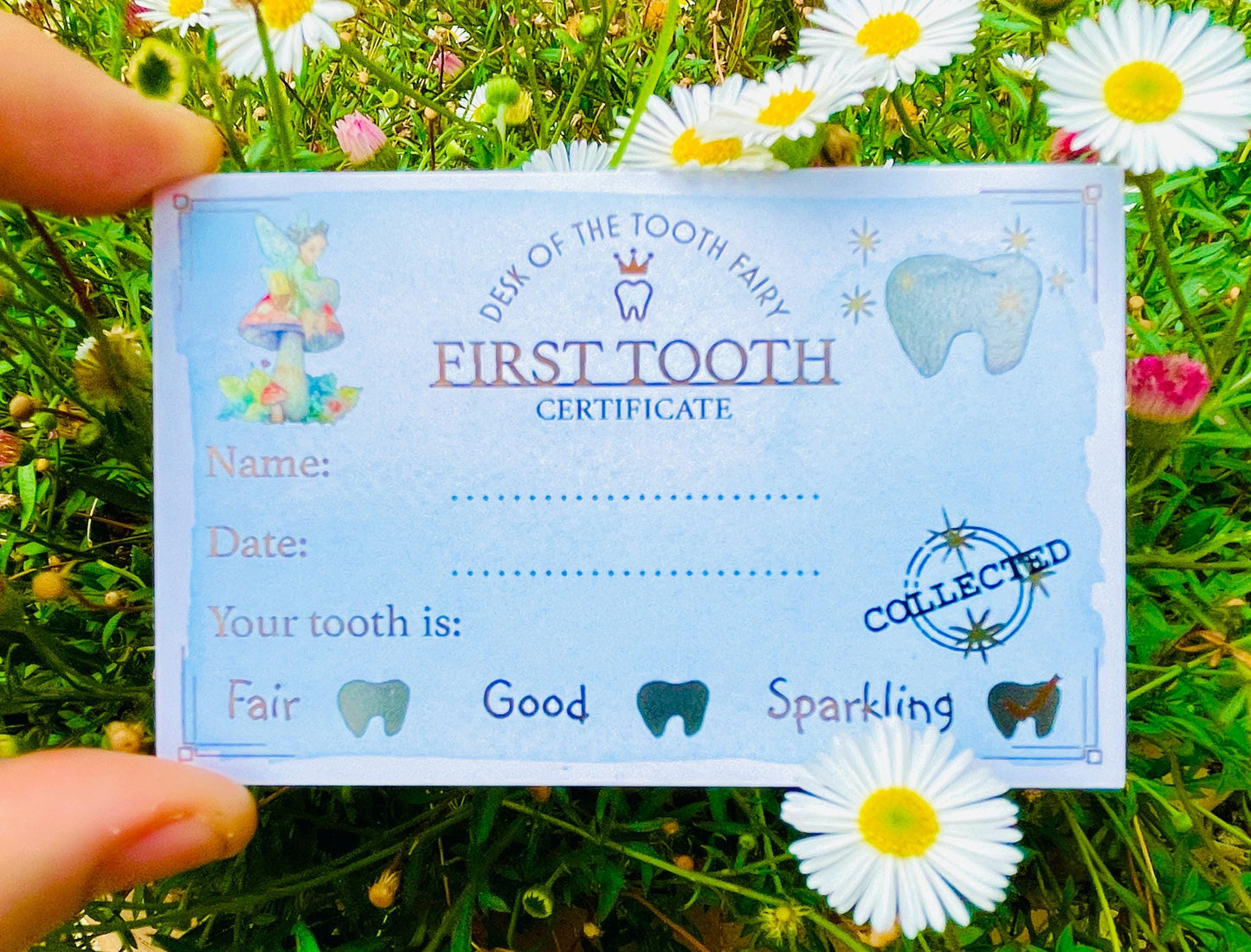 FIRST TOOTH Fairy Certificate & First Tooth Gold Coin! Lost First  Tooth Fairy Receipt! Lovely Keepsake for a child’s First Lost Tooth!