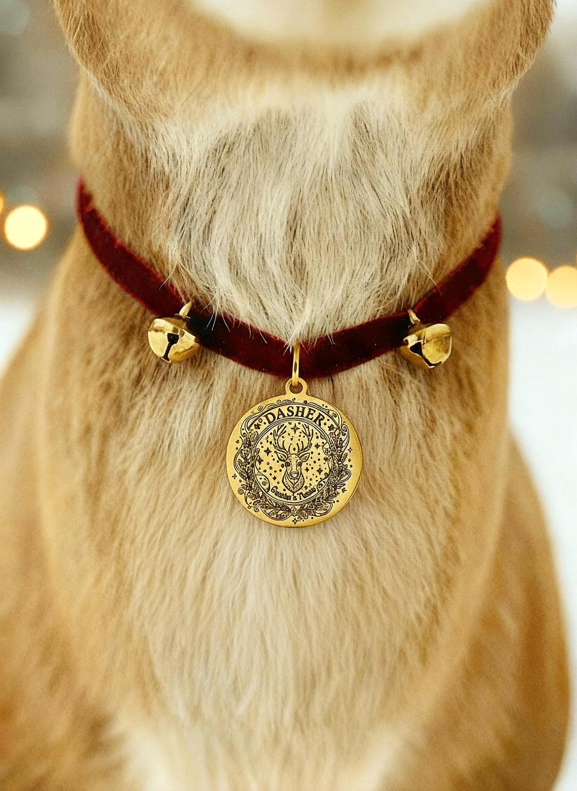 Lost REINDEER TAG- one of Santa’s Reindeer lost their tag whilst they were visiting! Fantastic Christmas Eve Box filler or Stocking Filler.