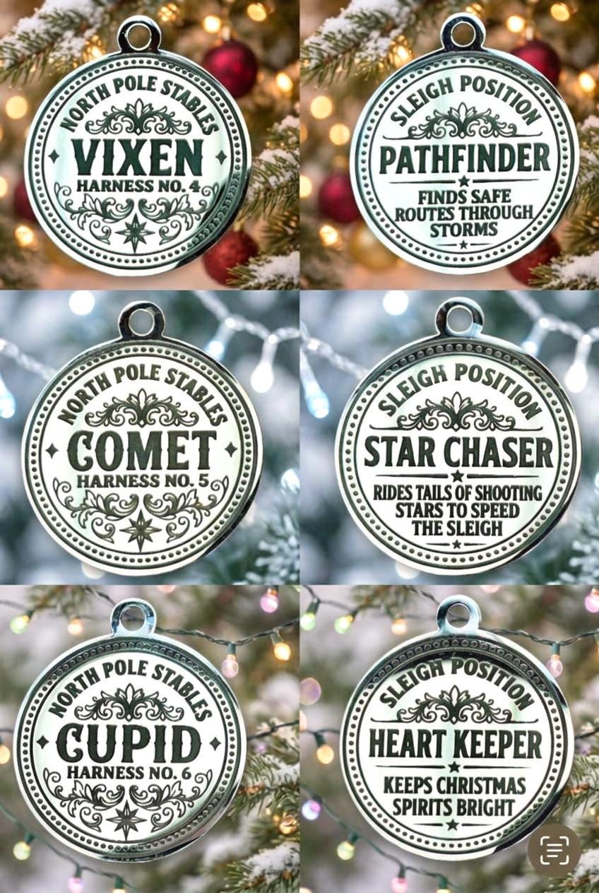 Lost REINDEER HARNESS BELL- Discover why Santa chose his Reindeer! Christmas Eve Box Gift | Stocking Filler