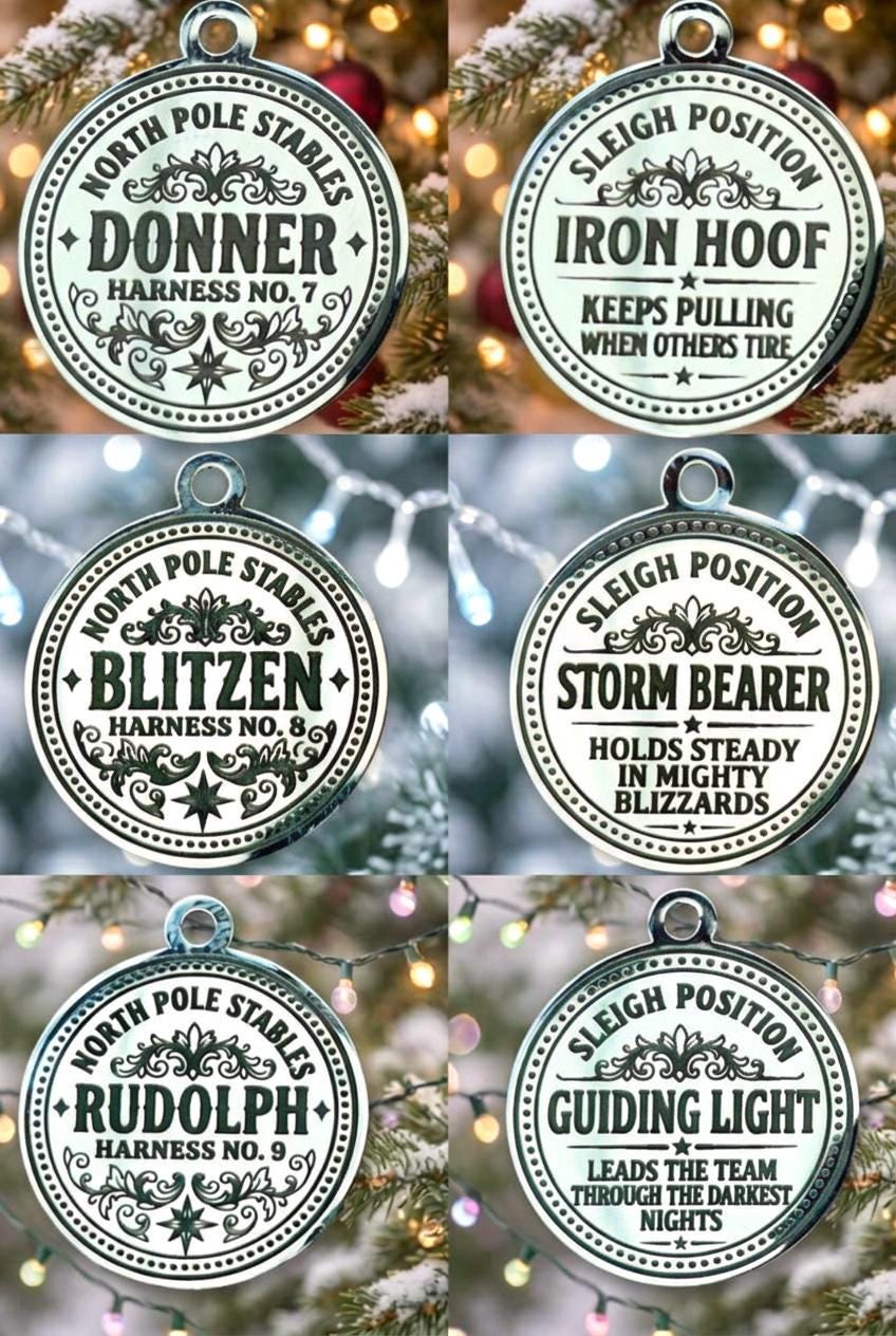 Lost REINDEER HARNESS BELL- Discover why Santa chose his Reindeer! Christmas Eve Box Gift | Stocking Filler
