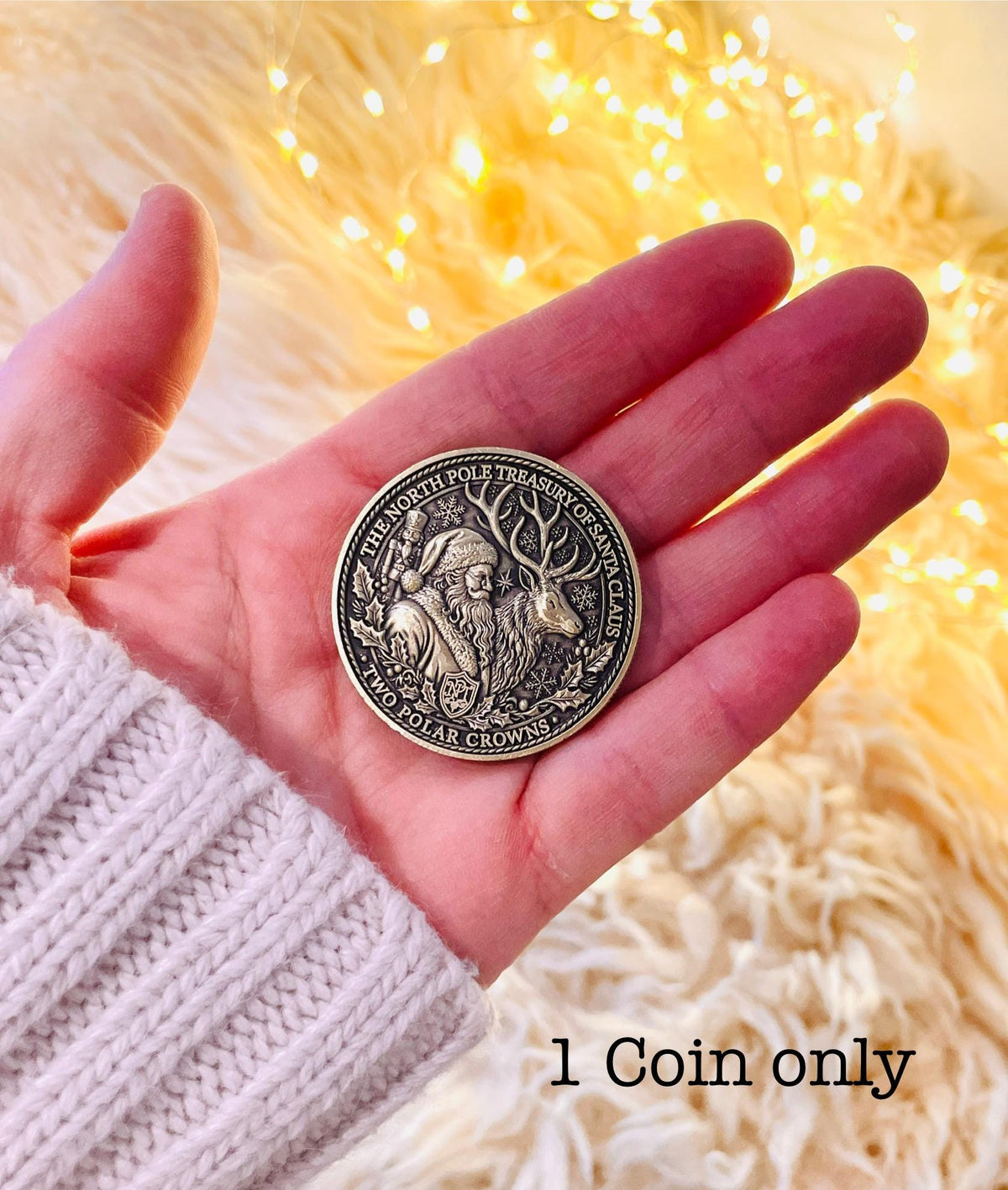 DELUXE Milk & Cookies Santa Coin | Proof of Santa’s Visit for leaving on your Santa Plate | Reindeer Food Thank you coin | Christmas Eve