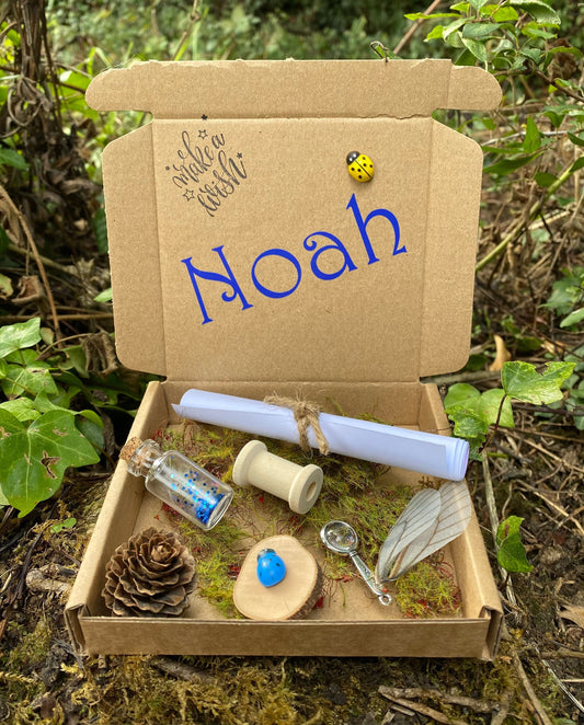 Boy’s Tooth Fairy Kit- Wish Fairy- Personalised Letter gift box- Fairy Kit includes: Wish bottle fairy wings, bobbin, mini magnifying glass, cone