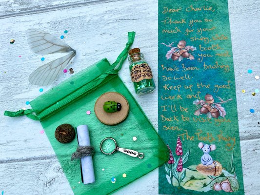 Boys Tooth Fairy Kit- Boys Tooth Fairy Letter- Boys Tooth Fairy Gifts- Tooth Fairy Gold Coin- Tooth Fairy Note Tooth Fairy Set for Boys