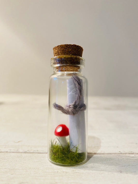 Tooth Fairy Letter- Tiny Tooth Fairy Kit with message in a bottle- Toadstool in a bottle Tooth Fairy Set