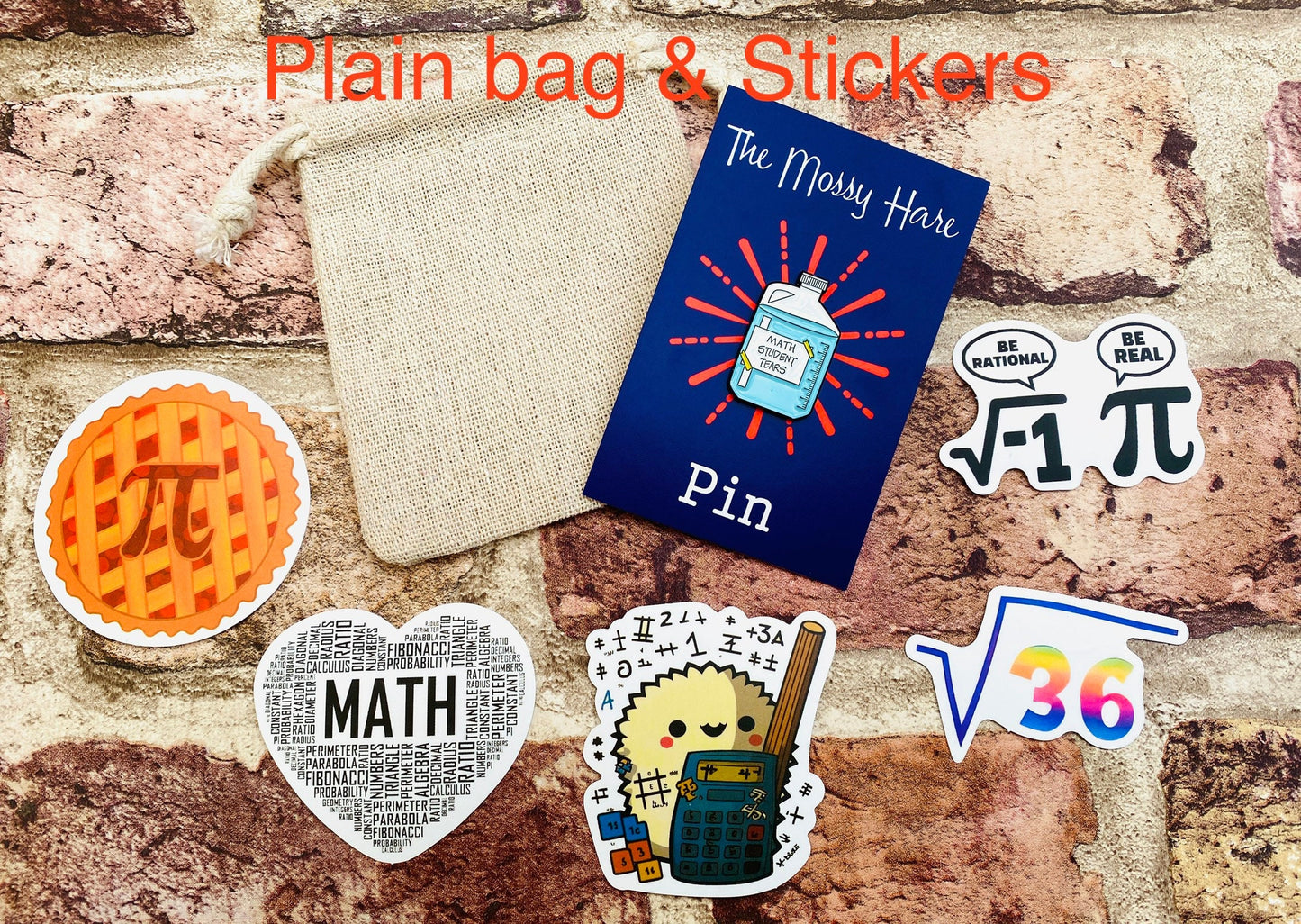 Maths Enamel Pin for maths student, teacher badge gift, end of term present, starting university, back to school gift math student