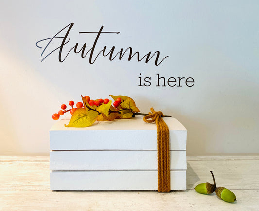 Autumn Decor- beautiful Autumnal book stack- staging book stacks- fall decor- autumn coffee table decor- fall bookcase ornaments