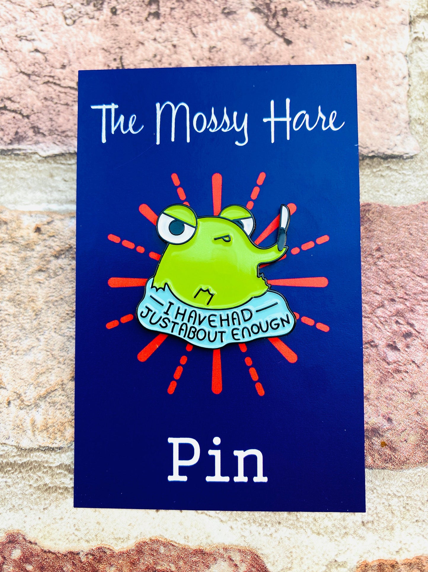Funny Frog Enamel Pin! Humorous Frog badge! Cute enamel pin